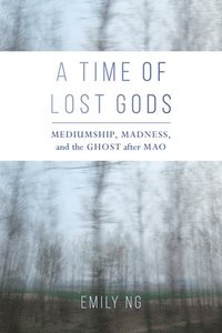 bokomslag A Time of Lost Gods