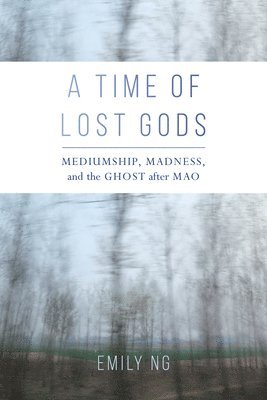 A Time of Lost Gods 1