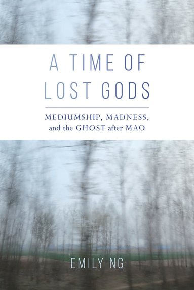 bokomslag Time of Lost Gods