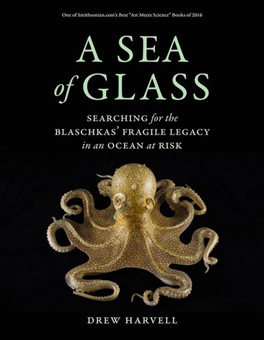 Drew Harvell - Sea of Glass, Häftad
