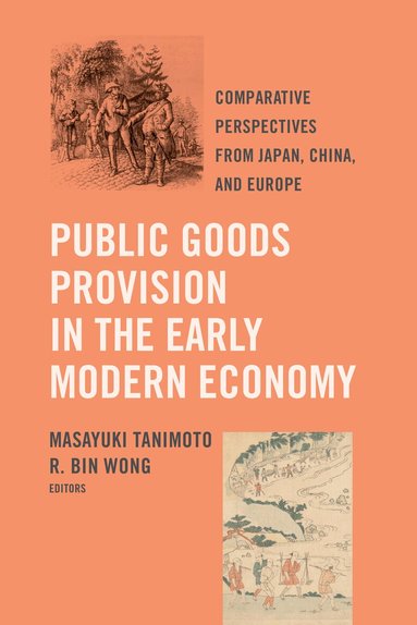 Masayuki Tanimoto, R. Bin Wong - Public Goods Provision in the Early Modern Economy, Häftad