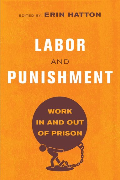 bokomslag Labor and Punishment