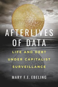 bokomslag Afterlives of Data