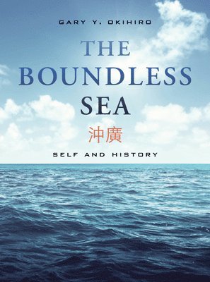 bokomslag The Boundless Sea