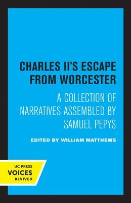 bokomslag Charles II's Escape from Worcester