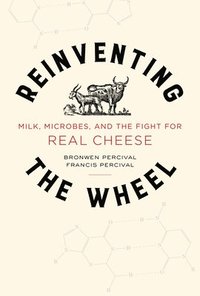 bokomslag Reinventing the Wheel