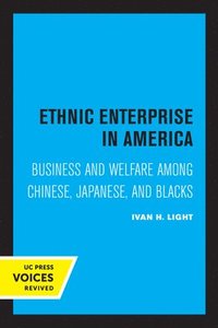 bokomslag Ethnic Enterprise in America