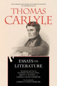 bokomslag Essays on Literature