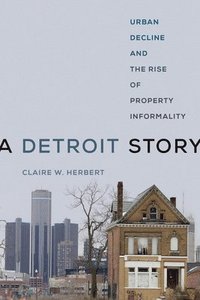 bokomslag A Detroit Story
