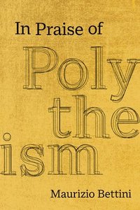 bokomslag In Praise of Polytheism