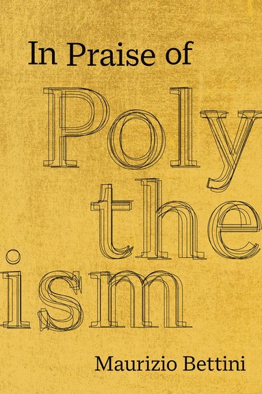 bokomslag In Praise of Polytheism