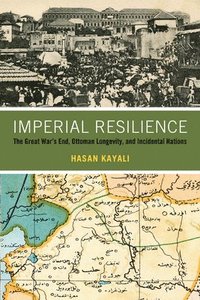 bokomslag Imperial Resilience