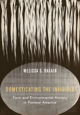 Domesticating the Invisible 1