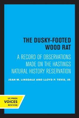 Dusky-Footed Wood Rat