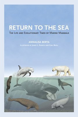 Return to the Sea 1