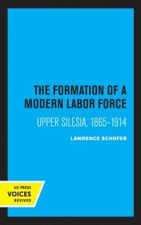 bokomslag The Formation of a Modern Labor Force