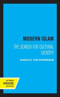 bokomslag Modern Islam