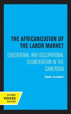 bokomslag Africanization of the Labor Market