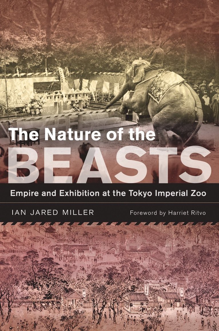 Ian Jared Miller - Nature of the Beasts, Häftad