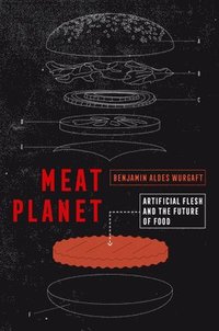 bokomslag Meat Planet