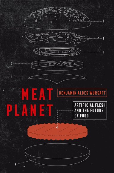 bokomslag Meat Planet