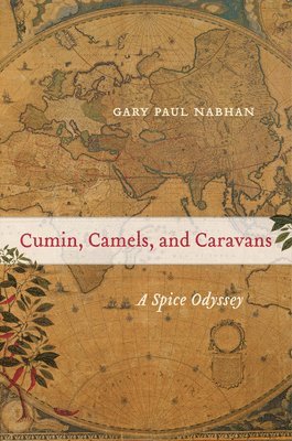 Cumin, Camels, and Caravans 1