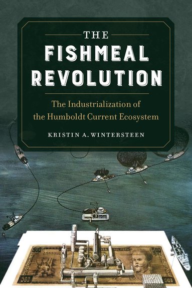 bokomslag Fishmeal Revolution