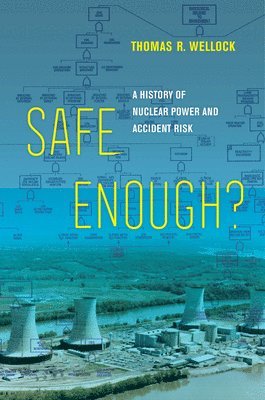 Thomas R. Wellock - Safe Enough?, Inbunden