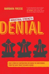 bokomslag Industrial-Strength Denial