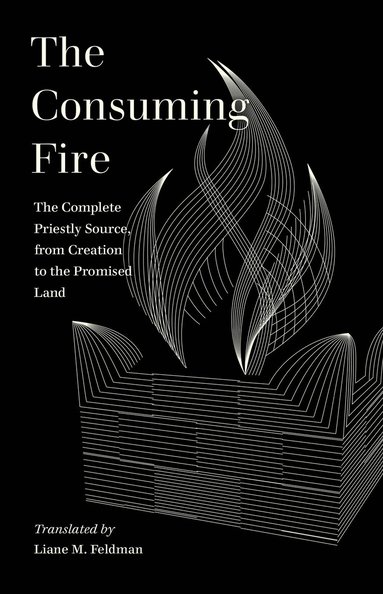 Liane M. Feldman - Consuming Fire, Häftad