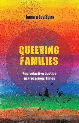 bokomslag Queering Families