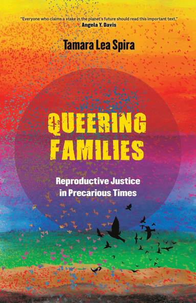 bokomslag Queering Families