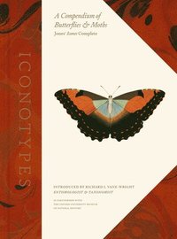 bokomslag Iconotypes: A Compendium of Butterflies and Moths, Jones' Icones Complete