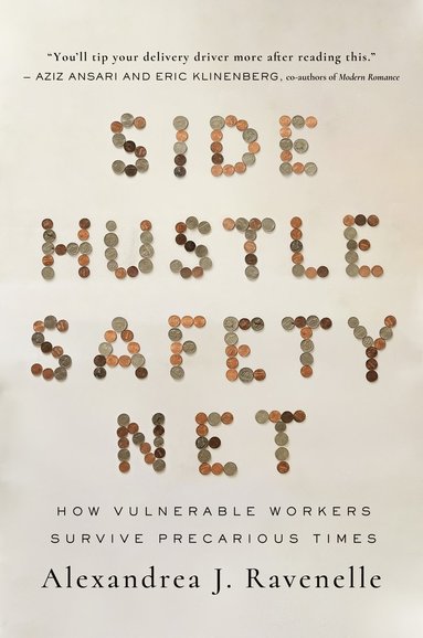 bokomslag Side Hustle Safety Net