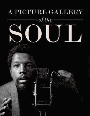Howard Oransky - Picture Gallery of the Soul, Inbunden