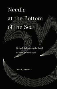 bokomslag Needle at the Bottom of the Sea