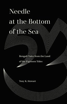 Tony K. Stewart, Tony K Stewart - Needle at the Bottom of the Sea, Häftad