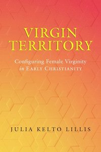 bokomslag Virgin Territory
