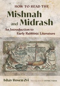 bokomslag How to Read the Mishnah and Midrash