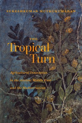 Tropical Turn