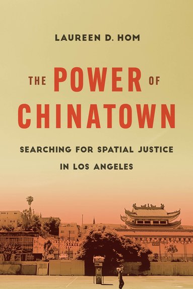 bokomslag Power of Chinatown