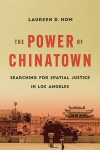 bokomslag Power of Chinatown