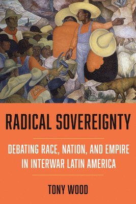 bokomslag Radical Sovereignty