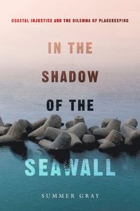 bokomslag In the Shadow of the Seawall