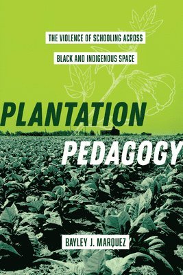 Plantation Pedagogy 1