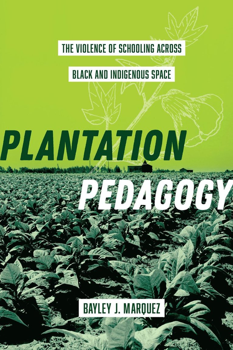 Bayley J. Marquez - Plantation Pedagogy, Häftad