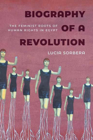 bokomslag Biography of a Revolution
