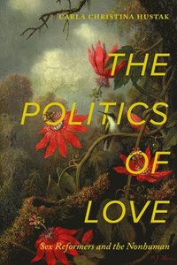 bokomslag The Politics of Love