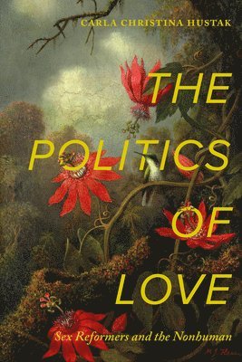 The Politics of Love 1