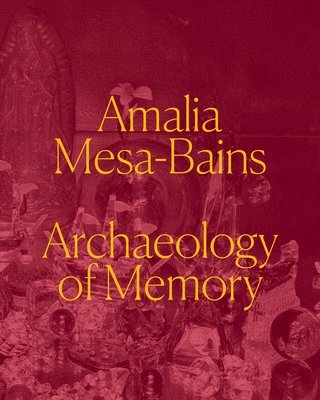bokomslag Amalia Mesa-Bains